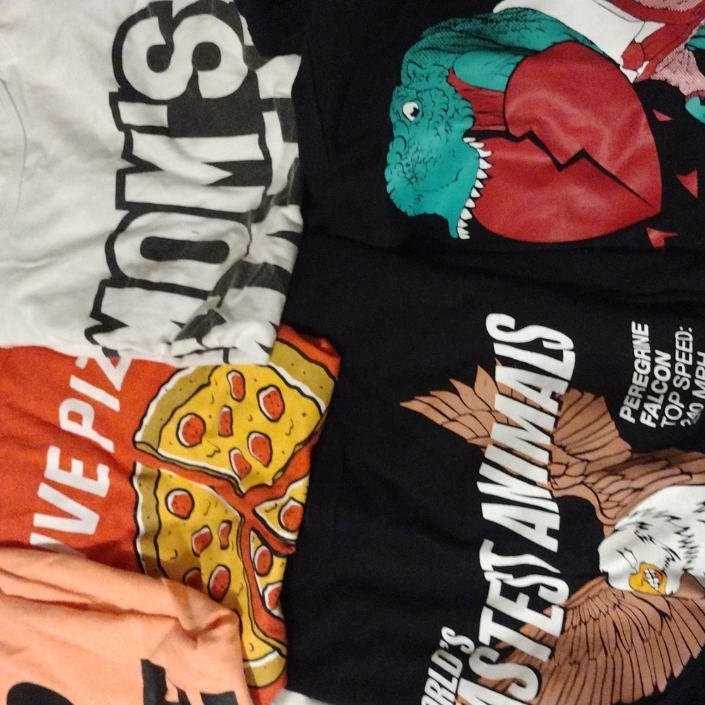 Children's Place boy 8 T-shirts for 30